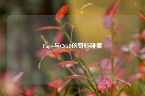 Fugly与CSGO的奇妙碰撞