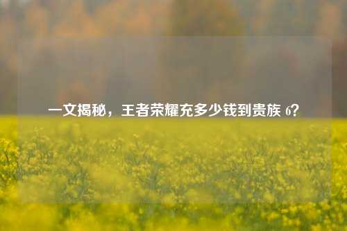一文揭秘，王者荣耀充多少钱到贵族 6？