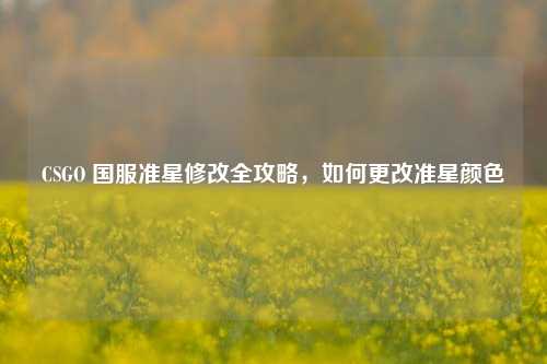 CSGO 国服准星修改全攻略，如何更改准星颜色
