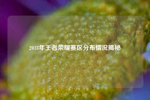 2018年王者荣耀赛区分布情况揭秘