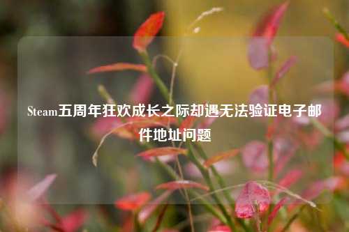 Steam五周年狂欢成长之际却遇无法验证电子邮件地址问题