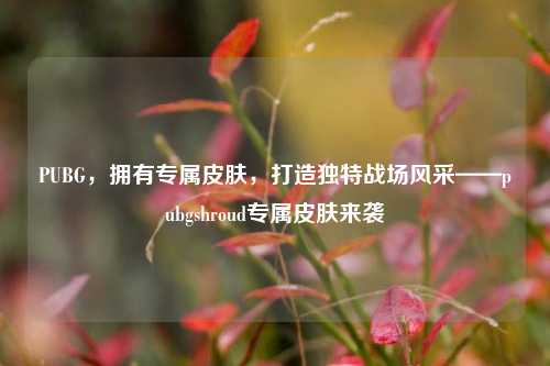 PUBG，拥有专属皮肤，打造独特战场风采——pubgshroud专属皮肤来袭