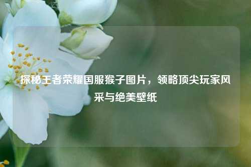 探秘王者荣耀国服猴子图片，领略顶尖玩家风采与绝美壁纸