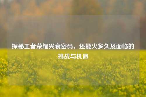 探秘王者荣耀兴衰密码，还能火多久及面临的挑战与机遇