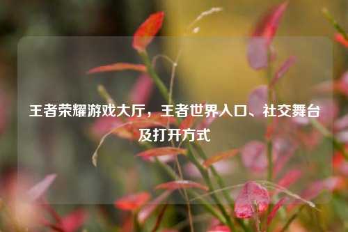 王者荣耀游戏大厅，王者世界入口、社交舞台及打开方式