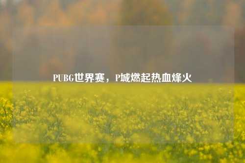 PUBG世界赛，P城燃起热血烽火