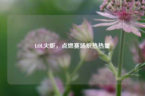 LOL火炬，点燃赛场炽热热量