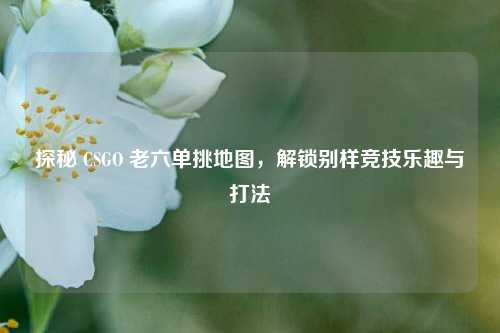 探秘 CSGO 老六单挑地图，解锁别样竞技乐趣与打法