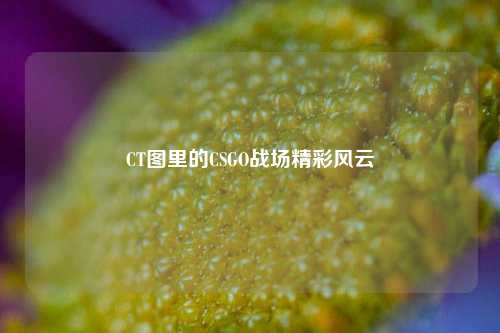 CT图里的CSGO战场精彩风云