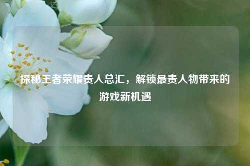 探秘王者荣耀贵人总汇，解锁最贵人物带来的游戏新机遇
