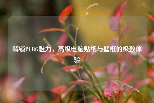 解锁PUBG魅力，高级电脑贴纸与壁纸的极致体验