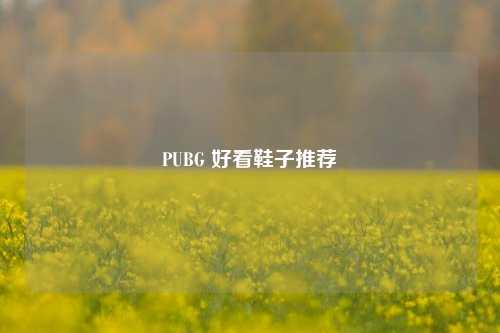 PUBG 好看鞋子推荐
