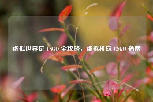 虚拟世界玩 CSGO 全攻略，虚拟机玩 CSGO 指南