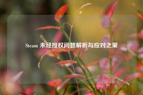 Steam 未经授权问题解析与应对之策