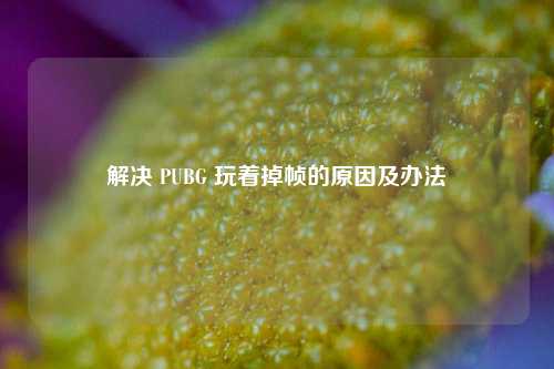 解决 PUBG 玩着掉帧的原因及办法