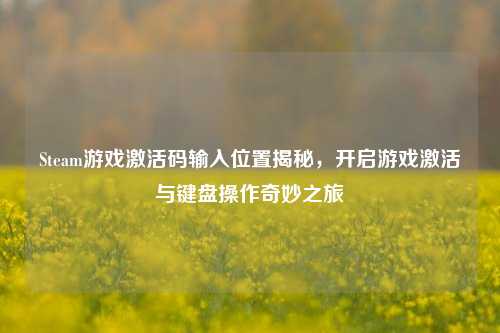 Steam游戏激活码输入位置揭秘，开启游戏激活与键盘操作奇妙之旅