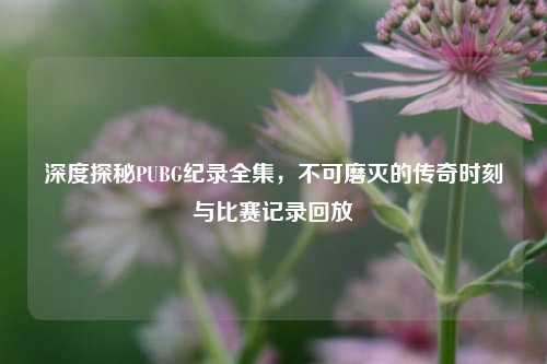 深度探秘PUBG纪录全集，不可磨灭的传奇时刻与比赛记录回放