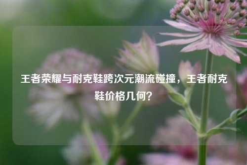 王者荣耀与耐克鞋跨次元潮流碰撞，王者耐克鞋价格几何？