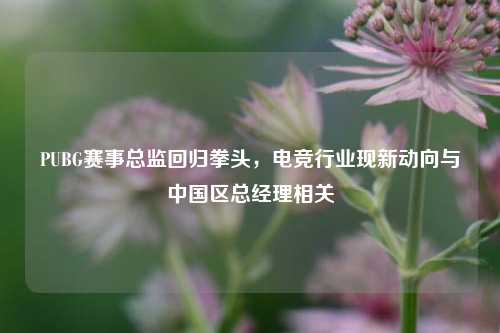 PUBG赛事总监回归拳头，电竞行业现新动向与中国区总经理相关