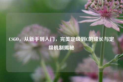 CSGO，从新手到入门，完美定级到C的成长与定级机制揭秘