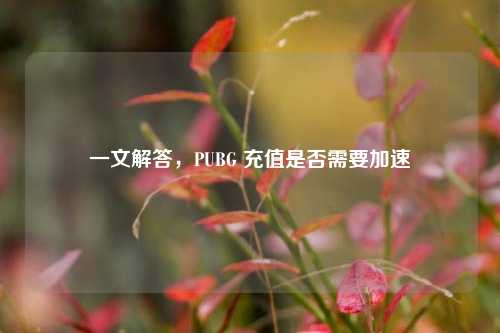 一文解答，PUBG 充值是否需要加速