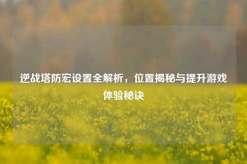 逆战塔防宏设置全解析，位置揭秘与提升游戏体验秘诀