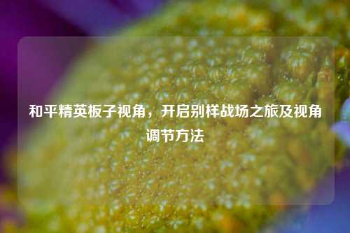 和平精英板子视角，开启别样战场之旅及视角调节方法