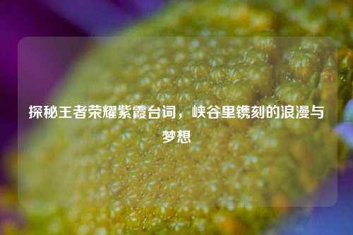 探秘王者荣耀紫霞台词，峡谷里镌刻的浪漫与梦想