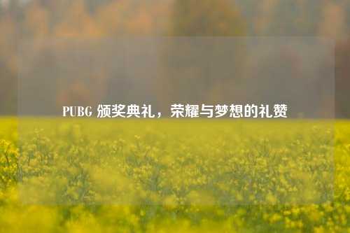 PUBG 颁奖典礼，荣耀与梦想的礼赞