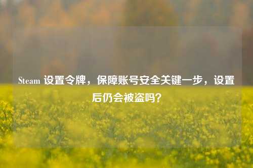 Steam 设置令牌，保障账号安全关键一步，设置后仍会被盗吗？