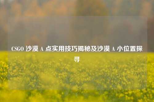 CSGO 沙漠 A 点实用技巧揭秘及沙漠 A 小位置探寻