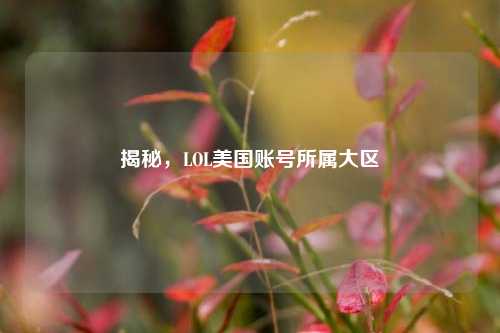 揭秘，LOL美国账号所属大区