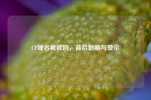 CF域名被收回，背后影响与警示