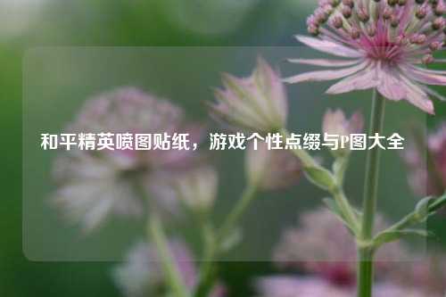 和平精英喷图贴纸，游戏个性点缀与P图大全