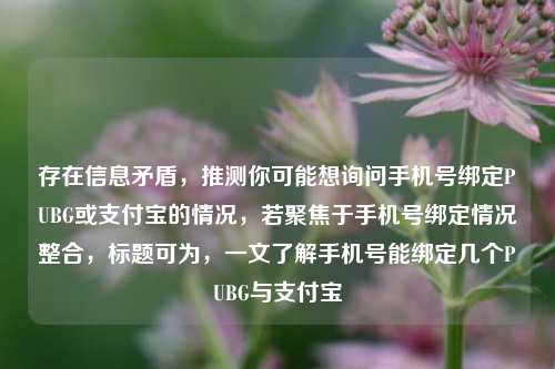 存在信息矛盾，推测你可能想询问手机号绑定PUBG或支付宝的情况，若聚焦于手机号绑定情况整合，标题可为，一文了解手机号能绑定几个PUBG与支付宝
