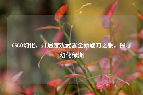 CSGO幻化，开启游戏武器全新魅力之旅，探寻幻化绿洲