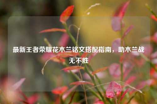 最新王者荣耀花木兰铭文搭配指南,助木兰战无不胜