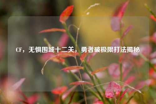 CF，无惧围城十二关，勇者破极限打法揭秘