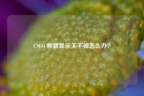 CSGO 帧数显示关不掉怎么办？