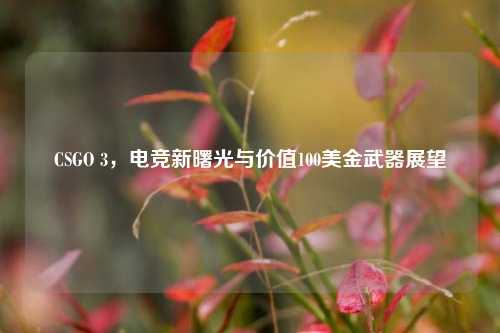 CSGO 3,电竞新曙光与价值100美金武器展望