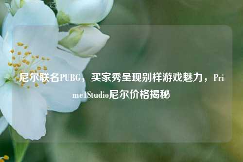 尼尔联名PUBG，买家秀呈现别样游戏魅力，Prime1Studio尼尔价格揭秘