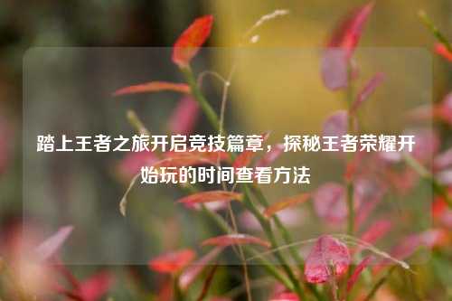 踏上王者之旅开启竞技篇章,探秘王者荣耀开始玩的时间查看方法