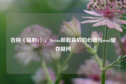 告别〈辐射4〉,Steam卸载背后的心绪与mod留存疑问