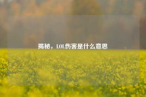 揭秘,LOL伤害是什么意思