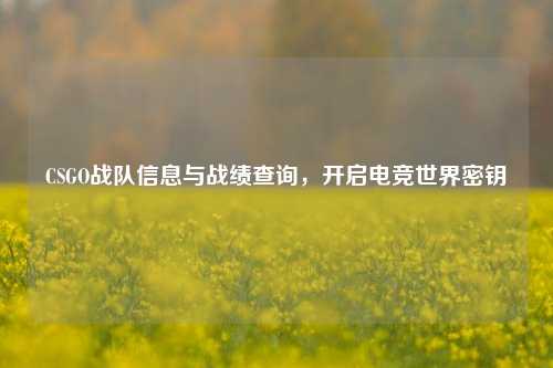 CSGO战队信息与战绩查询,开启电竞世界密钥