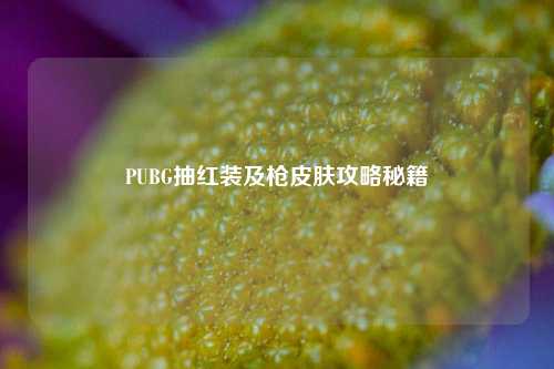 PUBG抽红装及枪皮肤攻略秘籍