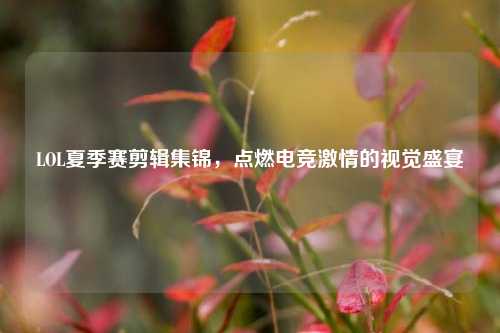 LOL夏季赛剪辑集锦,点燃电竞激情的视觉盛宴