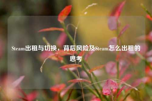 Steam出租与切换，背后风险及Steam怎么出租的思考