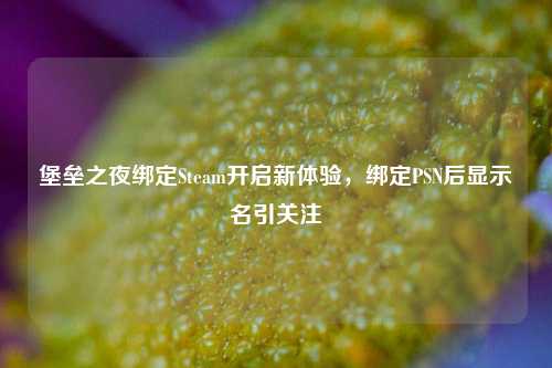 堡垒之夜绑定Steam开启新体验,绑定PSN后显示名引关注
