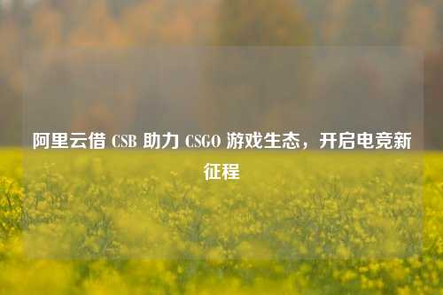 阿里云借 CSB 助力 CSGO 游戏生态，开启电竞新征程
